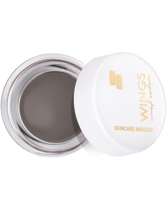 AA WINGS OF COLOR All Day Long Brow Pomade Pomada Do Brwi 02 Brown 5g