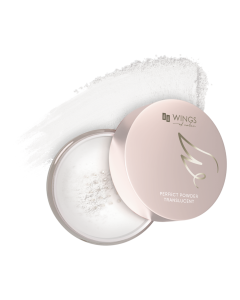 AA Wings Of Color Trust Your Wings Perfect Translucent Powder Sypki puder transparentny 4,8 g